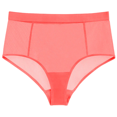Sieve High-Waist Brief in Coral - Image 6